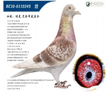 �Ͽ˷��ǲ��˺ú��ֱ������ض�ֱŮ