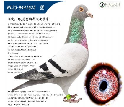 ��.������˹��Ůԭ�ᣨ�������ۣ���������