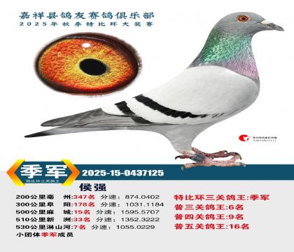 �رȻ����ظ�������