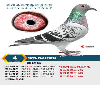 �رȻ����ظ���4��