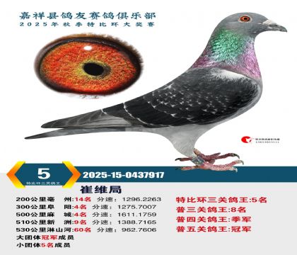 �رȻ����ظ���5��