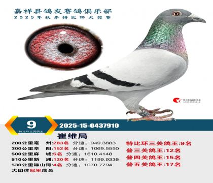 �رȻ����ظ���9��