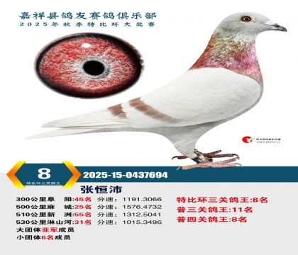 �رȻ����ظ���8��