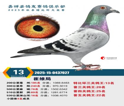 �رȻ����ظ���13��