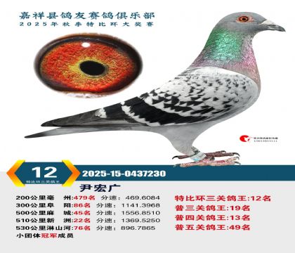 �رȻ����ظ���12��