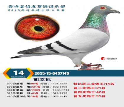 �رȻ����ظ���14��