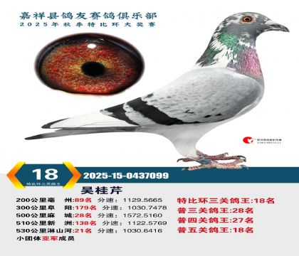 �رȻ����ظ���18��