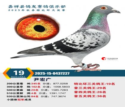 �رȻ����ظ���19��