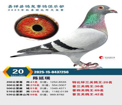 �رȻ����ظ���20��