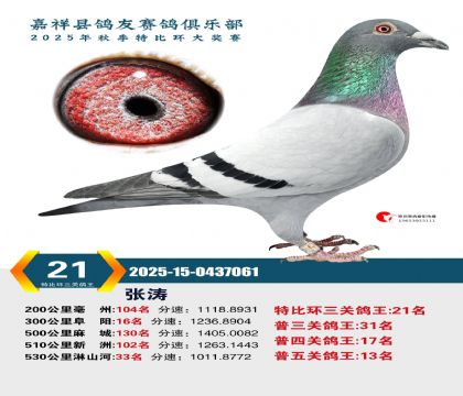 �رȻ����ظ���21��