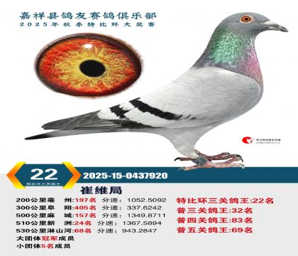 �رȻ����ظ���22��