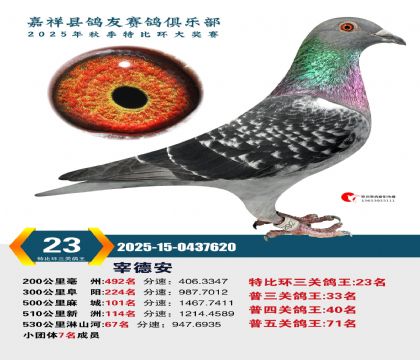 �رȻ����ظ���23��