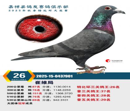 �رȻ����ظ���26��