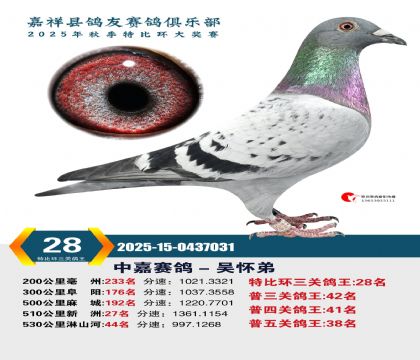 �رȻ����ظ���28��