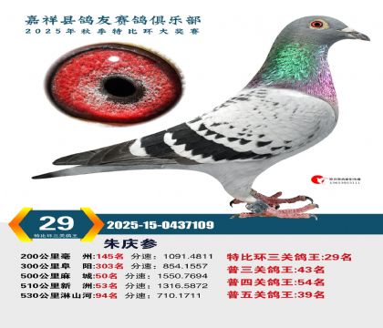 �رȻ����ظ���29��