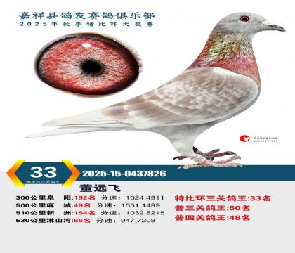 �رȻ����ظ���33��