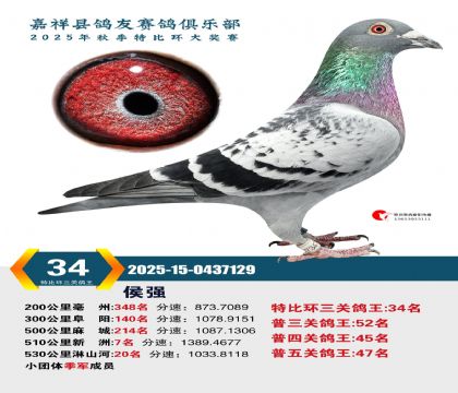 �رȻ����ظ���34��