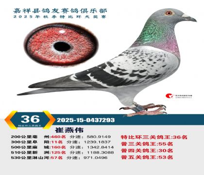 �رȻ����ظ���36��