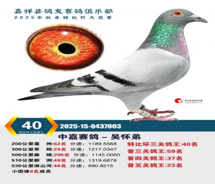 �رȻ����ظ���40��