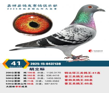 �رȻ����ظ���41��