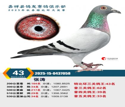 �رȻ����ظ���43��