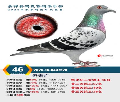 �رȻ����ظ���46��