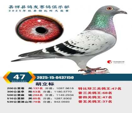 �رȻ����ظ���47��