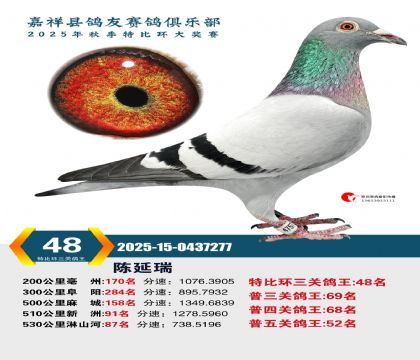 �رȻ����ظ���48��