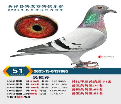 �رȻ����ظ���51��