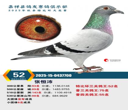 �رȻ����ظ���52��