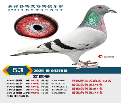 �رȻ����ظ���53��