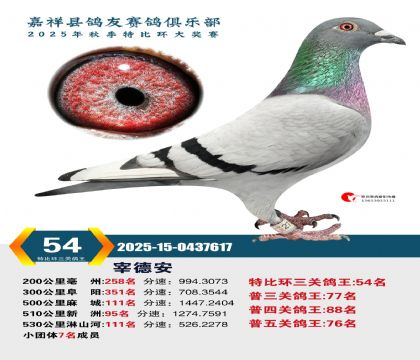 �رȻ����ظ���54��