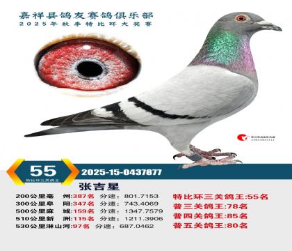 �رȻ����ظ���55��