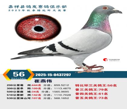 �رȻ����ظ���56��