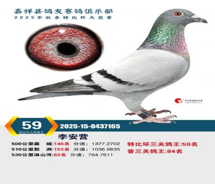 �رȻ����ظ���59��