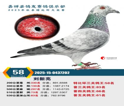 �رȻ����ظ���58��