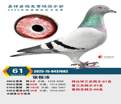 �رȻ����ظ���61��