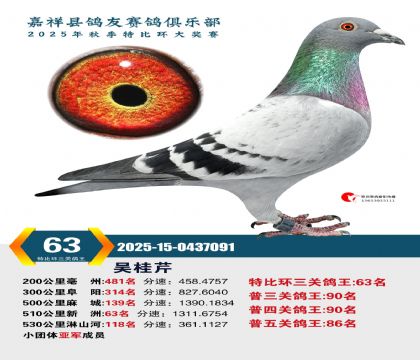 �رȻ����ظ���63��