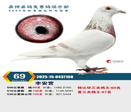 �رȻ����ظ���69��