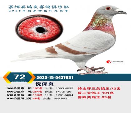 �رȻ����ظ���72��