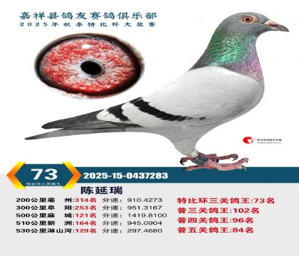 �رȻ����ظ���73��