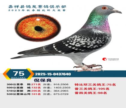 �رȻ����ظ���75��