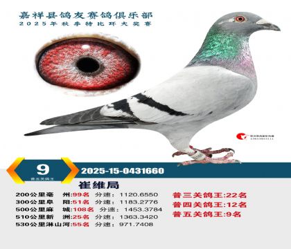 ������ظ���9��