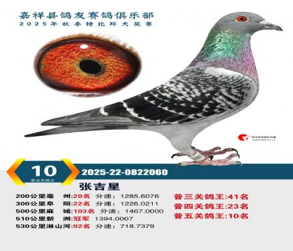 ������ظ���10��