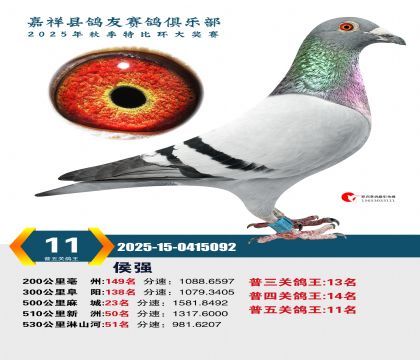 ������ظ���11��