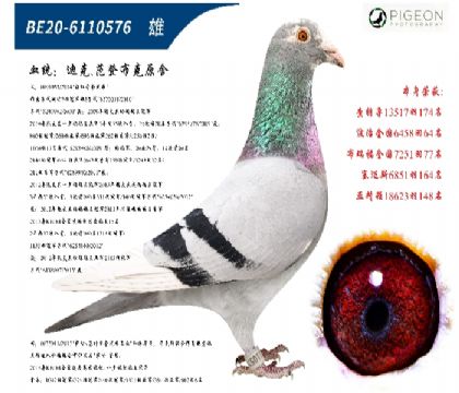 �Ͽ˷��ǲ���ԭ�ᣨ�ر��Ƽ���