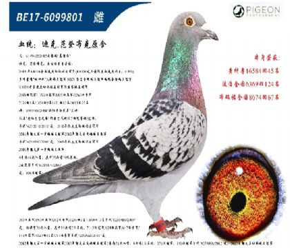 �Ͽ˷��ǲ��˻��ض�ֱŮ�������ִƣ�