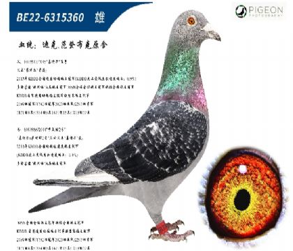 �Ͽ˷��ǲ��˻��ض�ֱ����ֱŮ���ر��Ƽ���