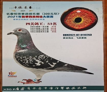 ��ѻ��ض�ֱ�����43λ��