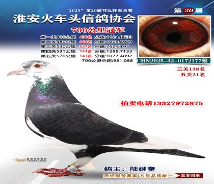 ������ͷ700����ھ�